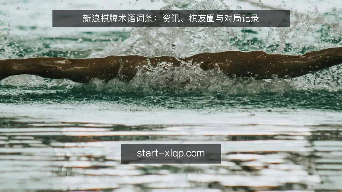 新浪棋牌术语词条：资讯、棋友圈与对局记录