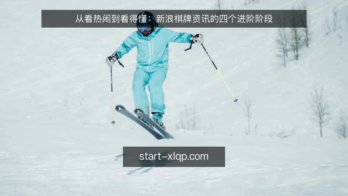 从看热闹到看得懂：新浪棋牌资讯的四个进阶阶段
