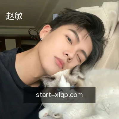 赵敏